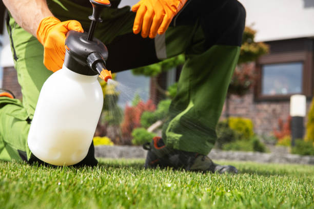 Best Best Pest Control Companies  in Loveland, OH